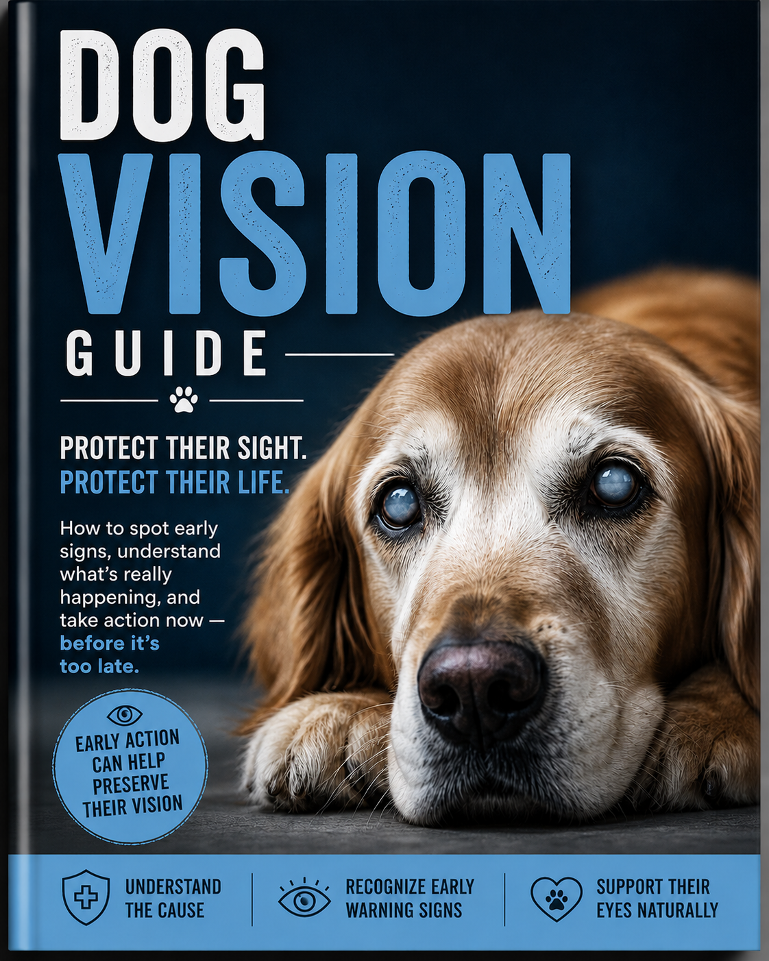 Dog Vision Guide
