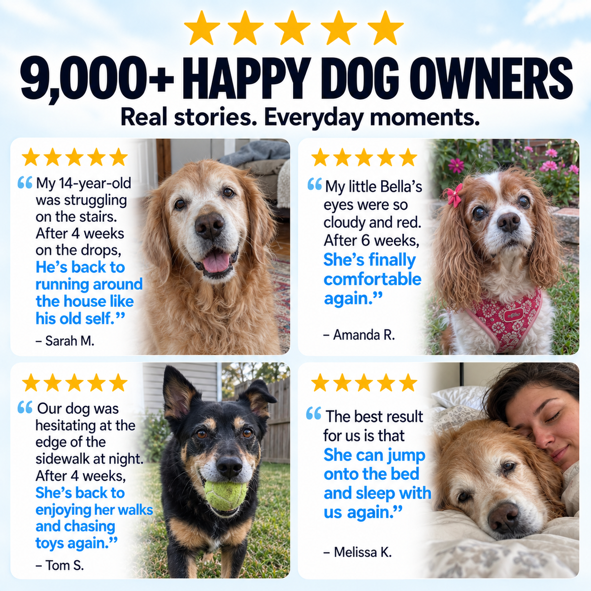 ClearVision™  Food Drops Daily Eye Support for Dogs