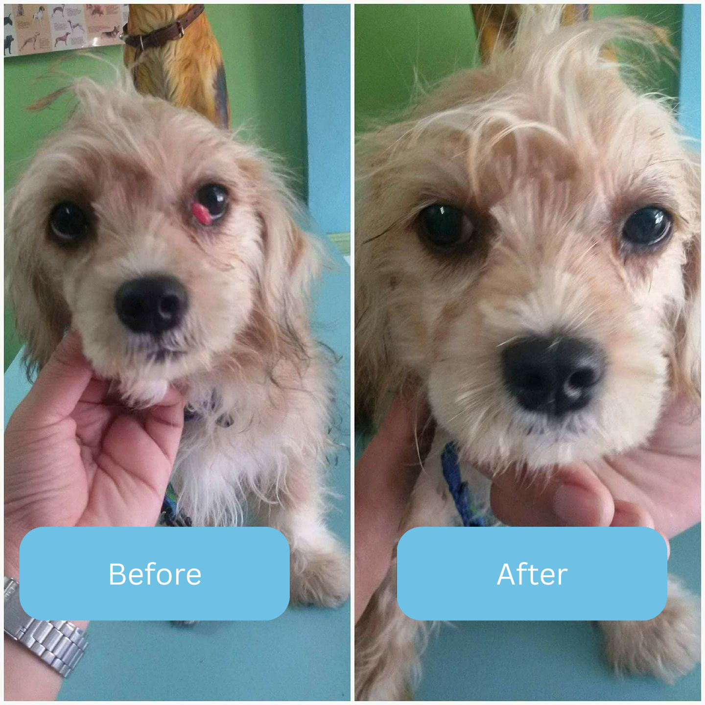 ClearVision™ Drops