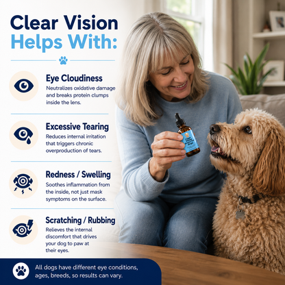 ClearVision™ Drops — Daily Eye Support for Senior Dogs