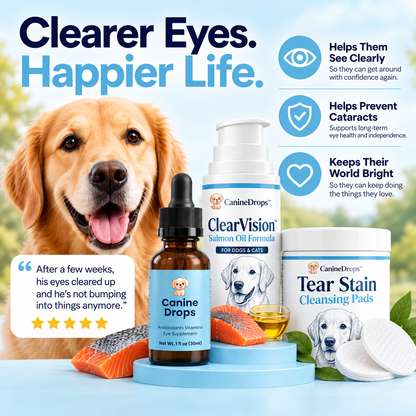 90-Day Vision Care Challenge
